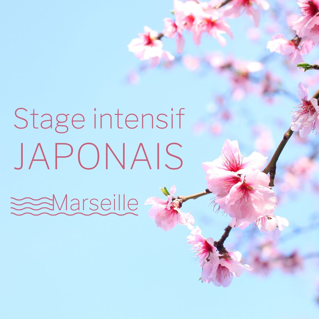 stage japonais intensif